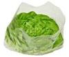 LDPE 15x12 Vented Lettuce Bag 380x300